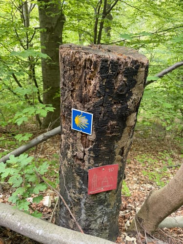 Rosenstein-Rundwanderung bei Heubach