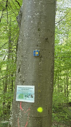 Rosenstein-Rundwanderung bei Heubach