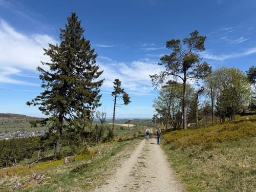 Diemelquelle Rundweg U3