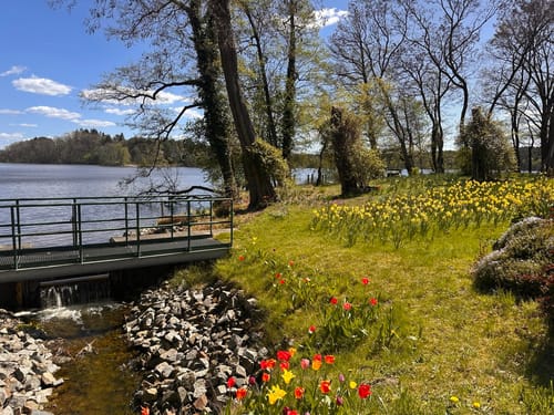Teupitz - Tornower See - Hohe Mühle