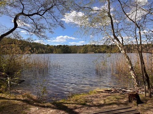 Teupitz - Tornower See - Hohe Mühle