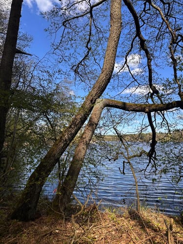 Teupitz - Tornower See - Hohe Mühle