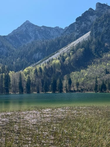Adlgaß - Frillensee - Steineralm