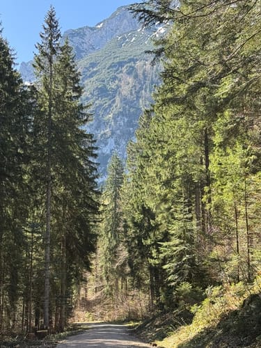 Adlgaß - Frillensee - Steineralm