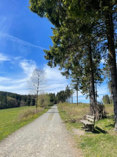 Vom Sürenberg rund um den Bremberglift