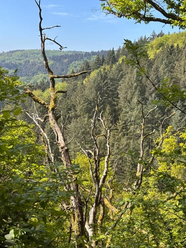 Laubach Wasserfall via Altwied und Melsbach