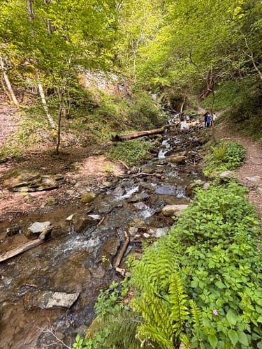 Laubach Wasserfall via Altwied und Melsbach