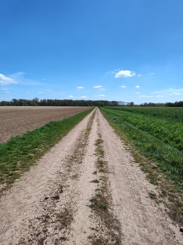 Naturschutzgebiet Alte Leine  ab Grasdorf