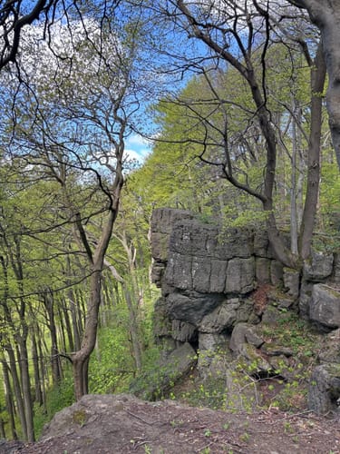 Zum Saubrink/Oberberg