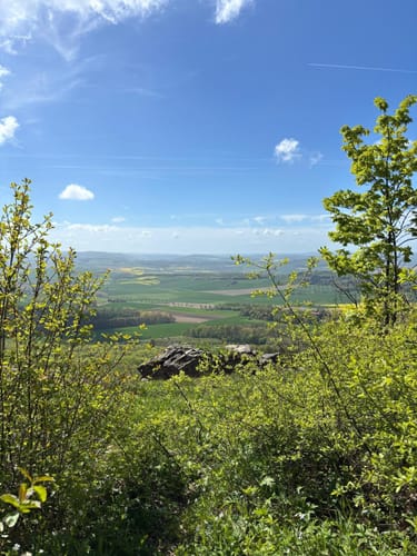 Zum Saubrink/Oberberg