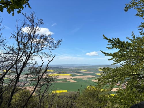 Zum Saubrink/Oberberg