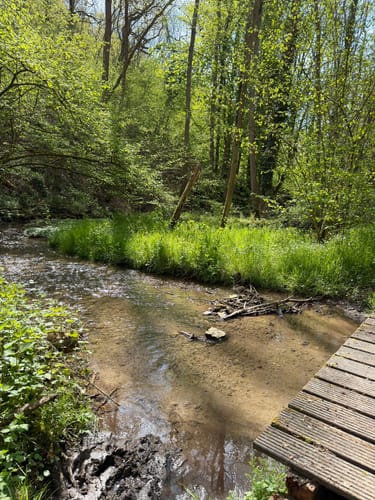 Koberner Burgpfad (Traumpfad)