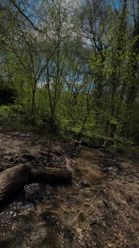 Koberner Burgpfad (Traumpfad)