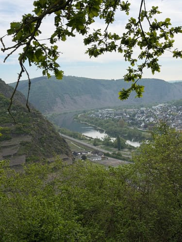 Koberner Burgpfad (Traumpfad)
