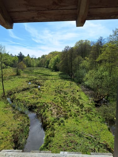Große Runde im Hasbruch