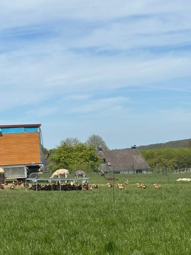 Rundwanderweg A3: Im Lürwald bei Neheim