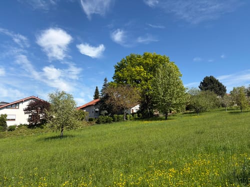 SU2 - Wandern zwischen Wein, Wald und Streuobstwiesen