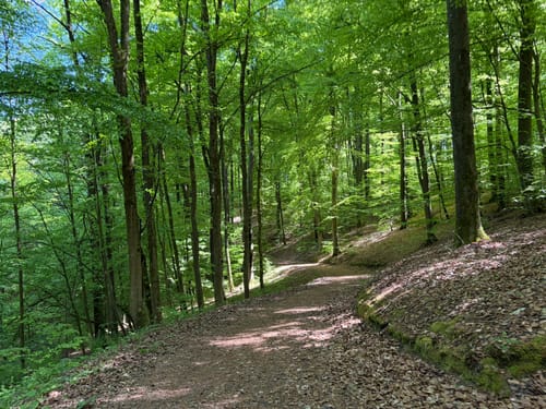 SU2 - Wandern zwischen Wein, Wald und Streuobstwiesen