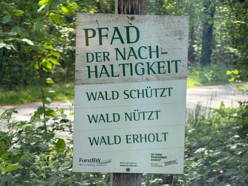 Schlossgarten zur Baro-Allee durch den Hardtwald