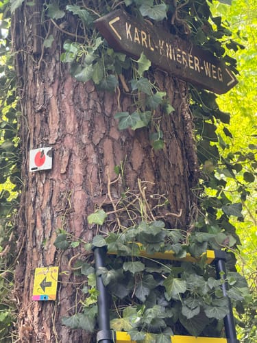 Schlossgarten zur Baro-Allee durch den Hardtwald