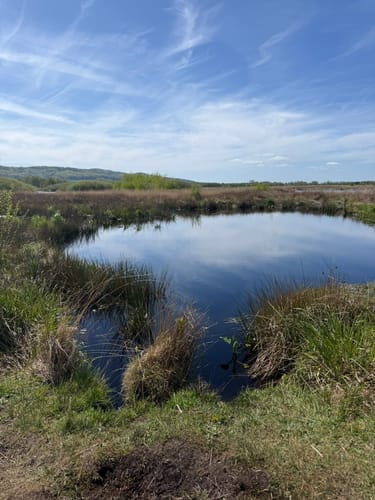 Großes Torfmoor