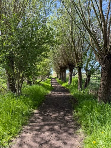 Großes Torfmoor
