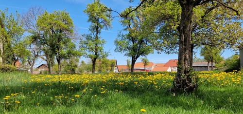 Rund um die Wewelsburg