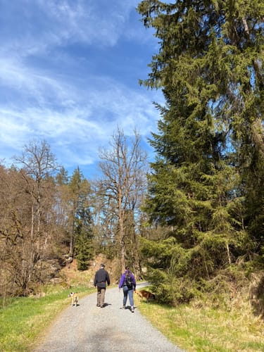 Von Lindenhof zum Mühlnickelweiher durch das NSG Waldnaabtal
