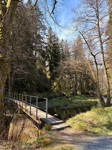 Von Lindenhof zum Mühlnickelweiher durch das NSG Waldnaabtal
