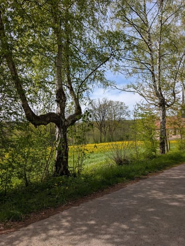 A3 Rundwanderweg Hardehausen