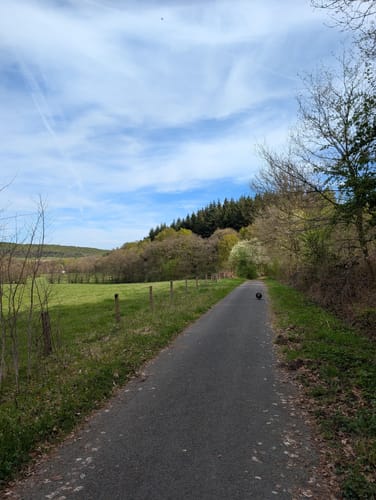 A3 Rundwanderweg Hardehausen