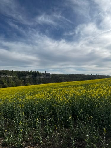 Himmelreichweg Geopfad über Rudelsburg Burg Saaleck