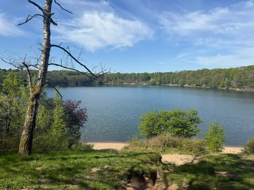 Dünnwald - Naturschutzgebiet am Hornpottweg - Von-Diegardt-See