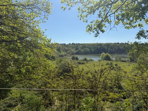 Dünnwald - Naturschutzgebiet am Hornpottweg - Von-Diegardt-See