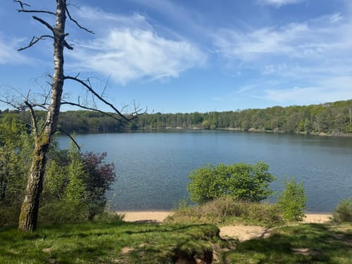 Dünnwald - Naturschutzgebiet am Hornpottweg - Von-Diegardt-See