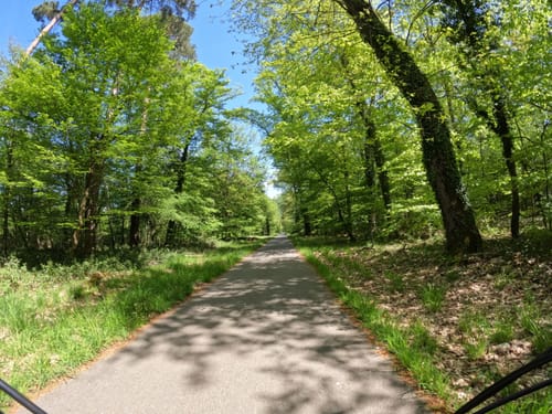 Graf von Wiser Weg