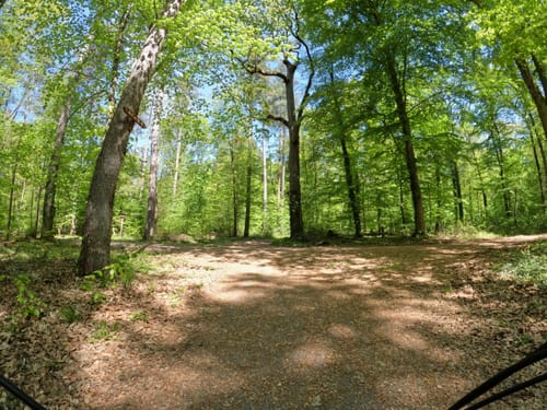 Graf von Wiser Weg