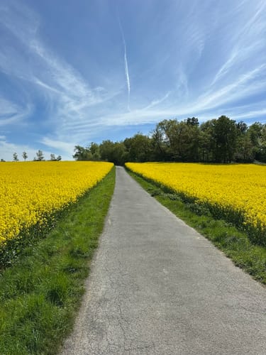 Neanderlandsteig und Oefter Tal
