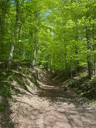 Neanderlandsteig und Oefter Tal