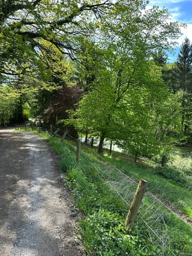 Neanderlandsteig und Oefter Tal