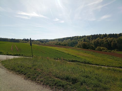 Vom Schloss Königsbach rund um den Aalkistensee
