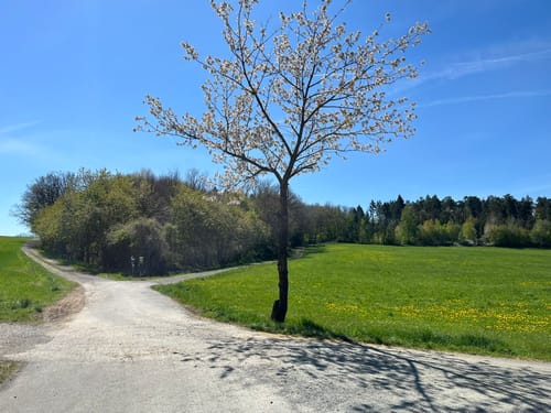 Buchauer Weg (Buchau/Thurnau)