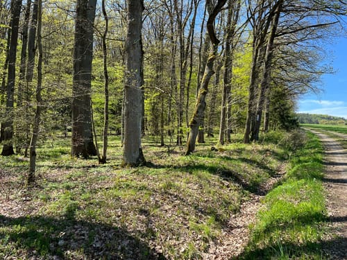 Buchauer Weg (Buchau/Thurnau)