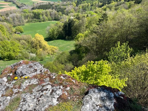 Buchauer Weg (Buchau/Thurnau)