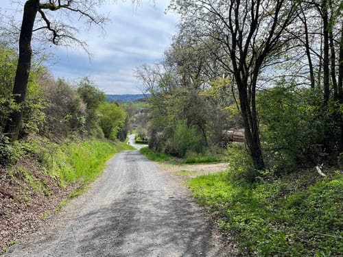 Buchauer Weg (Buchau/Thurnau)