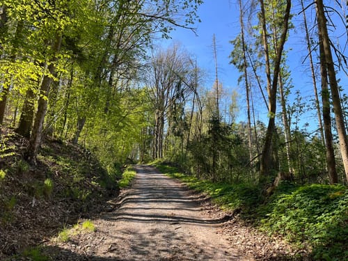 Buchauer Weg (Buchau/Thurnau)