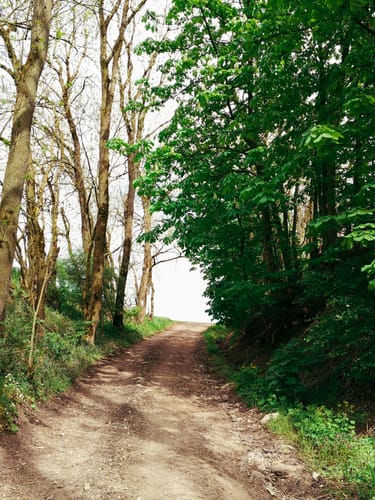 Großer Coburger Rundwanderweg