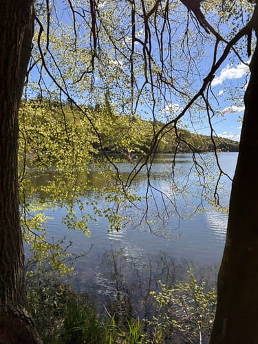 Schmalsee