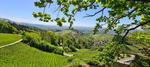 Rund um Riegel