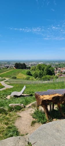 Rund um Riegel